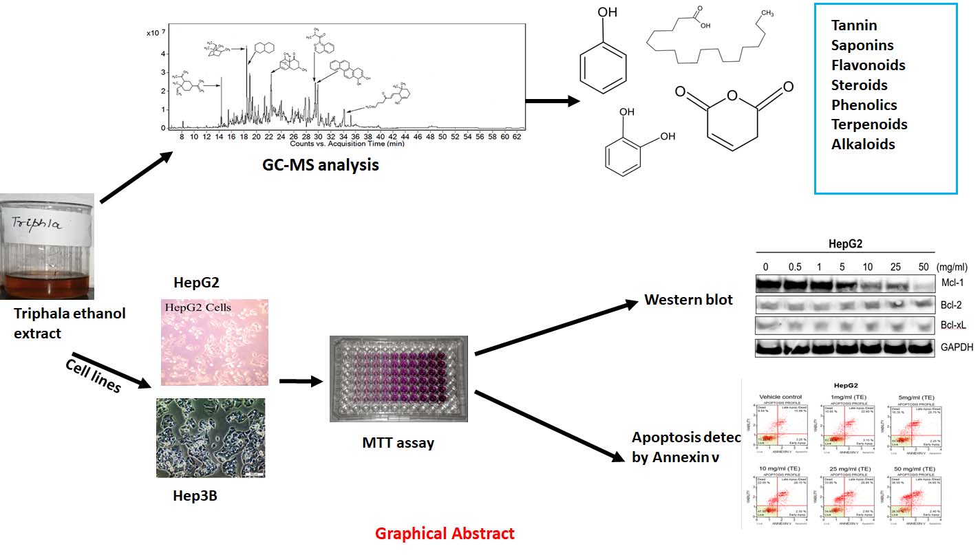 Graphical Abstract